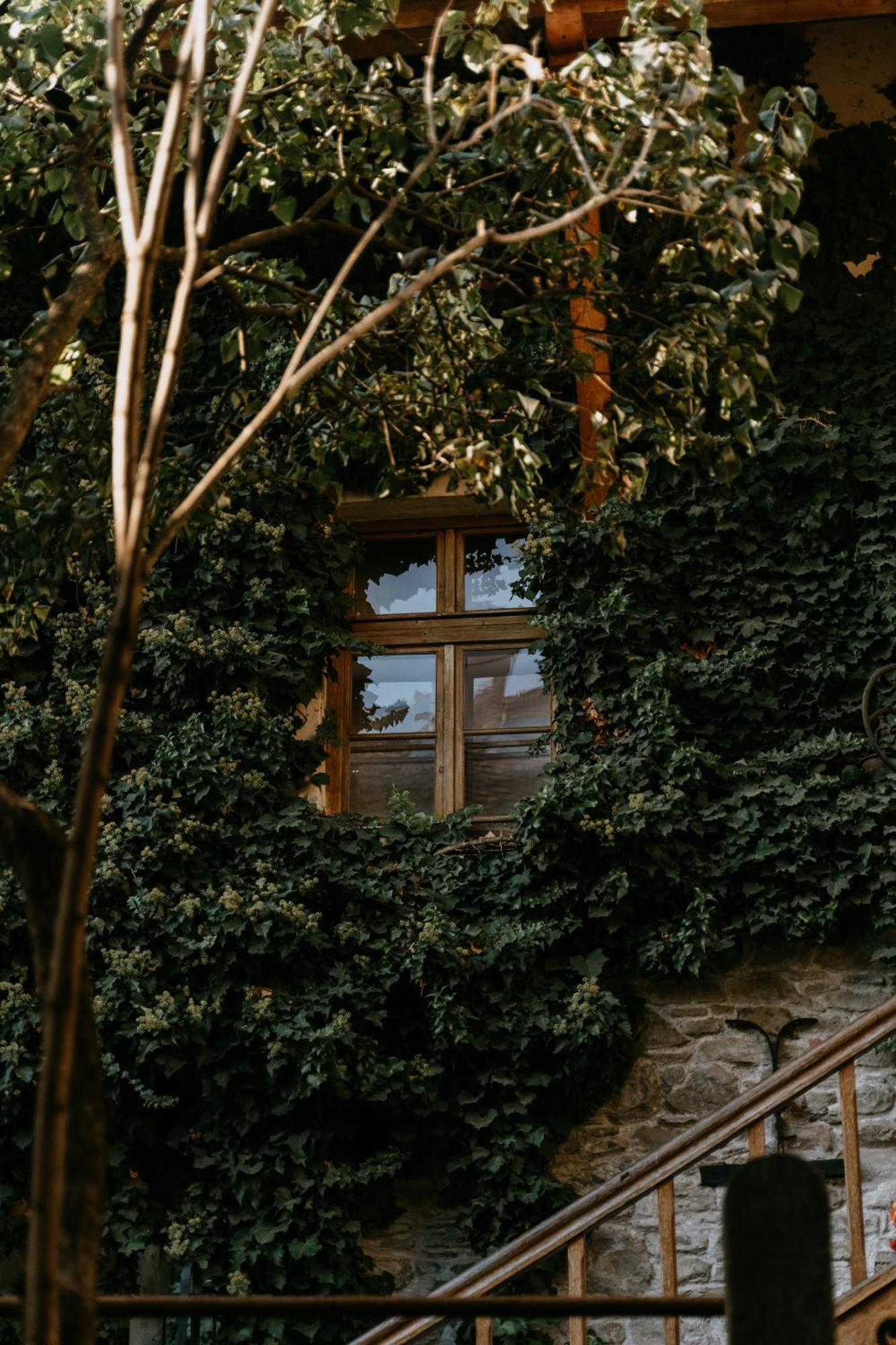 Fronius Boutique Residence Сигишоара Екстериор снимка